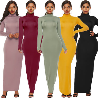 Women's Long Sleeve Stretch Slim Fit Turtleneck Dress